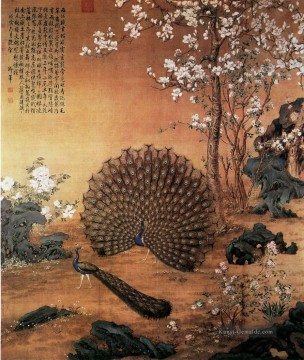 Lang glänzt Proudasa Peacock alte China Tinte Giuseppe Castiglione Ölgemälde
